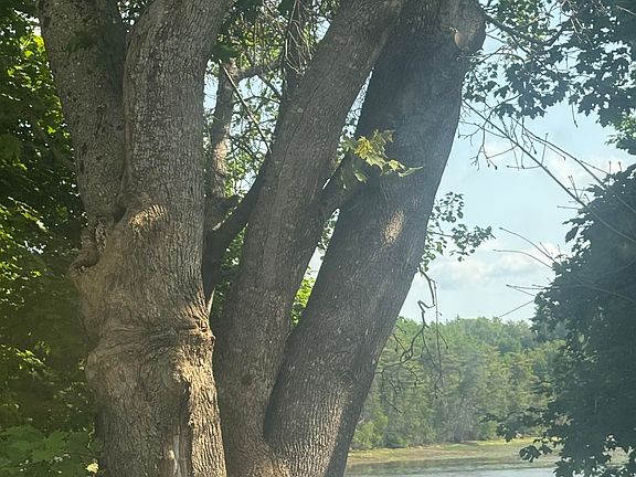 2nd image of 36 Riverside Dr