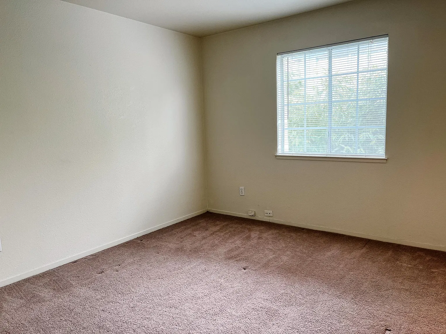 2 bed, 2.5 bath, 1250 sqft, $3,895 — Photo 3