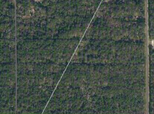 216 Mandarin Ave, Georgetown, FL 32139