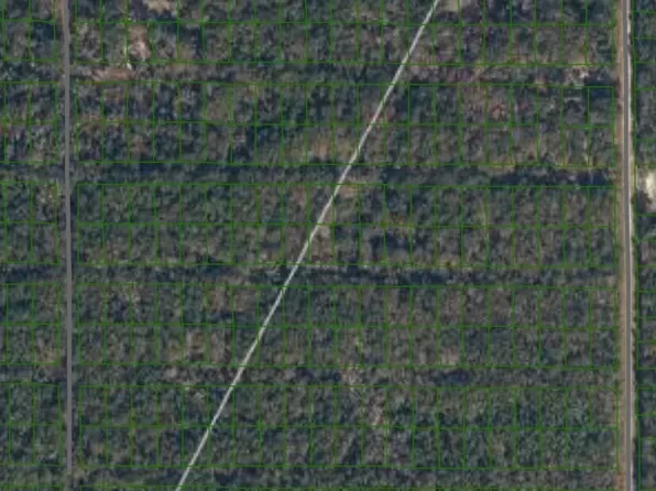 216 Mandarin Ave, Georgetown, FL 32139