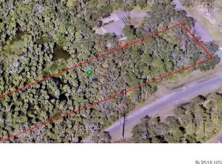 1310 Scarlett Trl, New Smyrna Beach, FL 32168