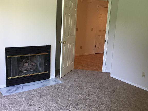 Downstairs Master Bedroom Fireplace