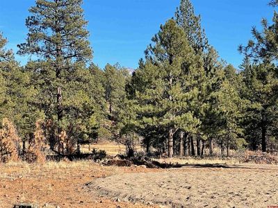 170 Paradise Ridge Place, Pagosa Springs, CO, 81147