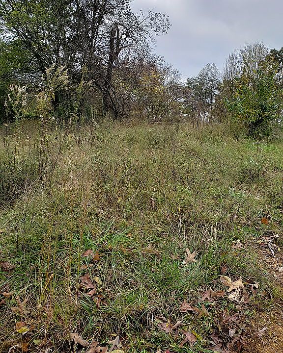 5.5 acres waiting for you