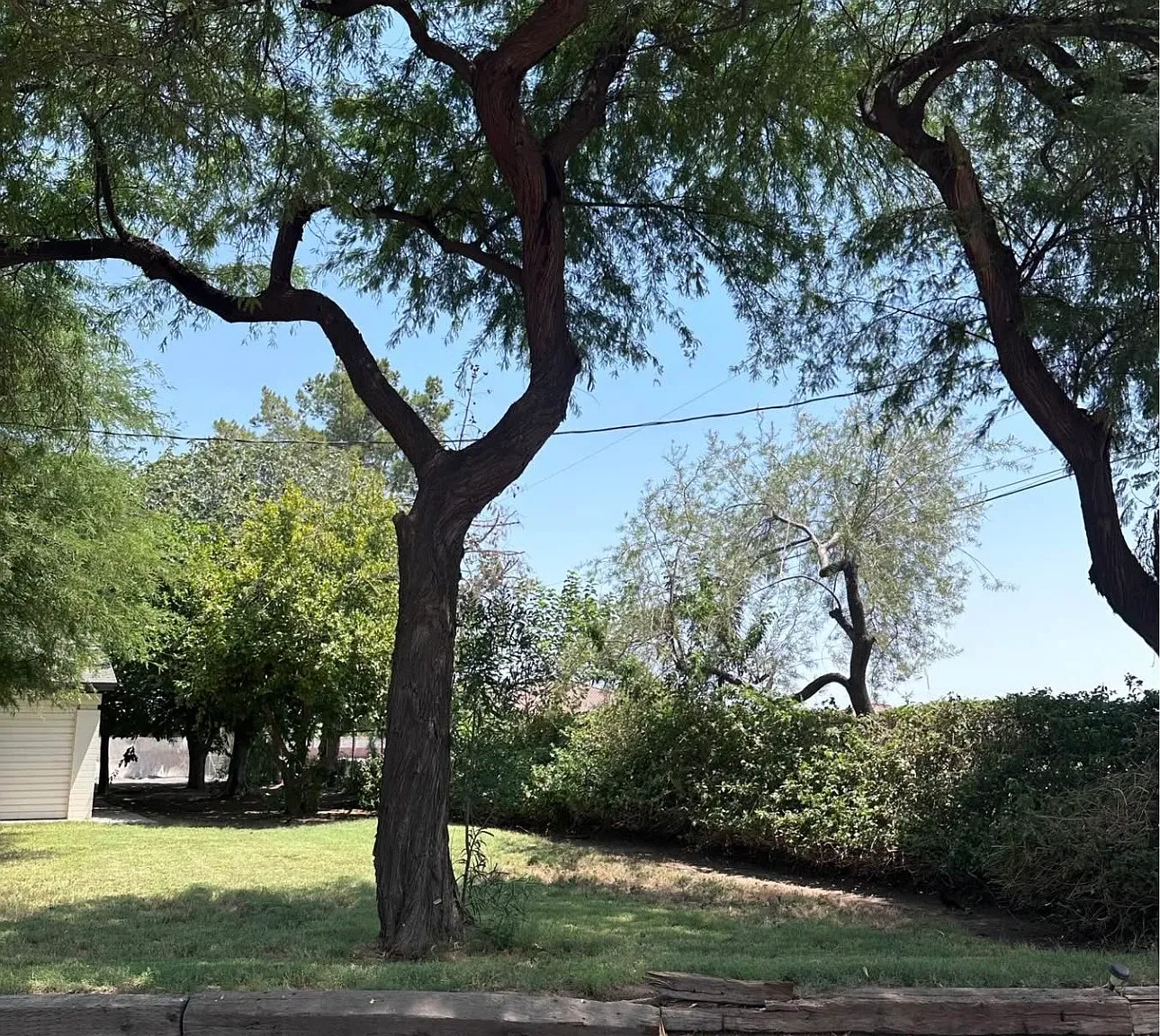 3 bed, 1870 sqft, $2,350 — Photo 1