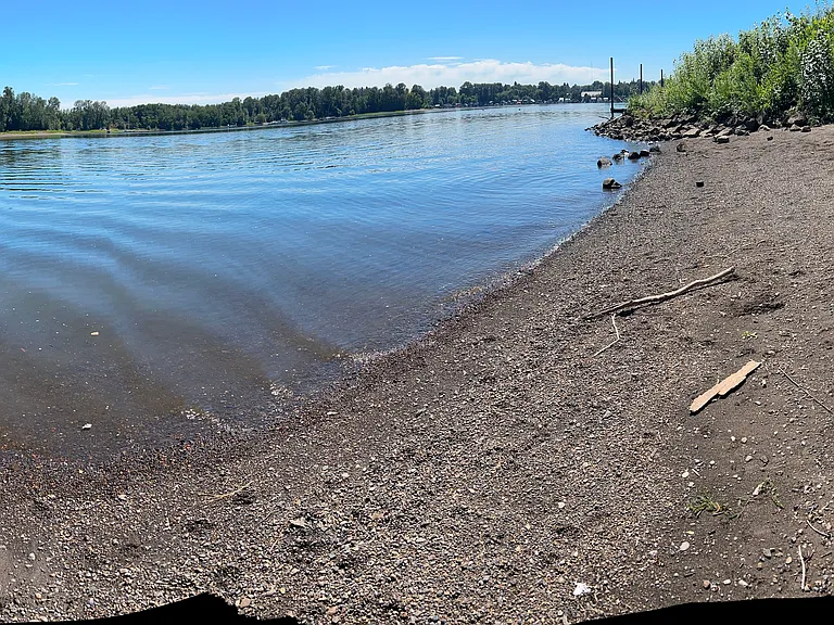 Sandy beach with views of downtown just steps away