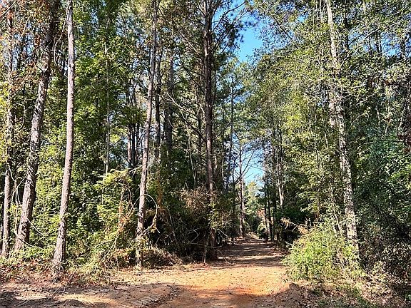 3rd image of TRACT Welch Ln #A