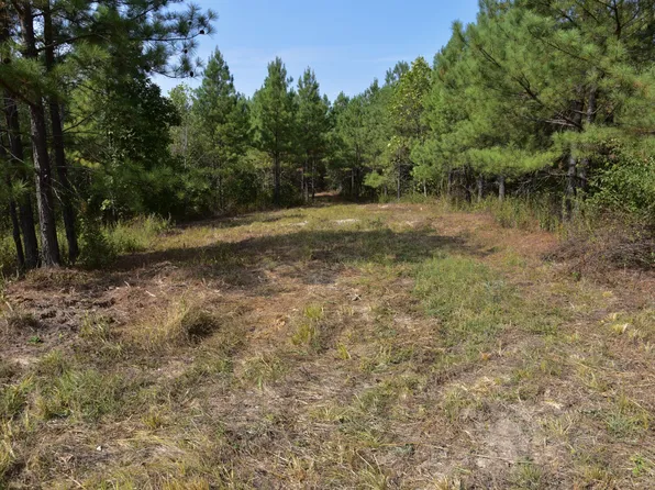 0 Fire Tower Rd Lot 9C, Erin, TN 37061
