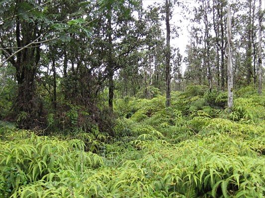 2nd image of Kaupili St Lot 56