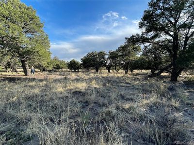 4446 Rarity Way, Crestone, CO, 81131