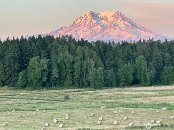 44302 32nd Ave E, Eatonville, WA 98328