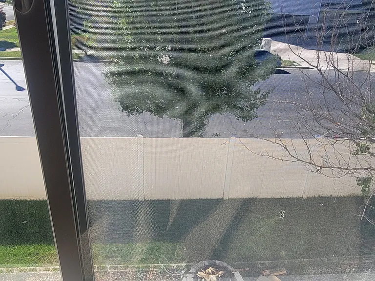 view from loft left side yard
