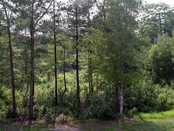 Backyard Keeps Going and Going