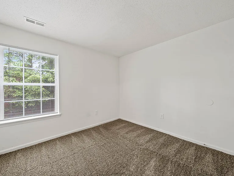 Salem Run Apartment Homes — Photo 21