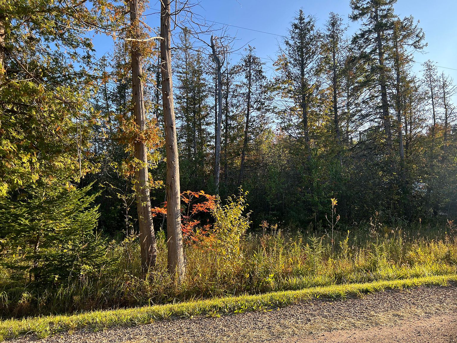 Grace Harbor Rd LOT 49, Millersburg, MI 49759 MLS 201826447 Zillow