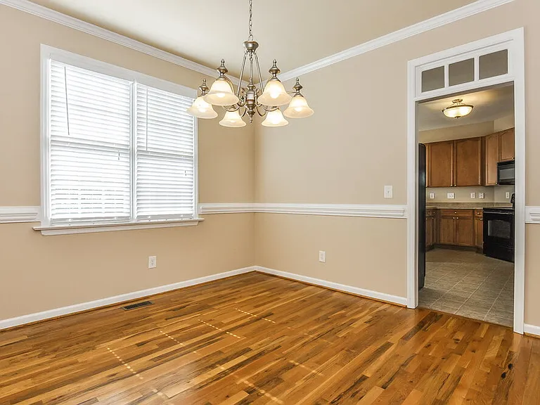 509 Lemon Pepper Pl — Photo 4