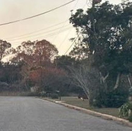 Exterior Neighborhood (street photo)