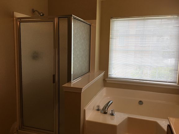 master seperate tub shower