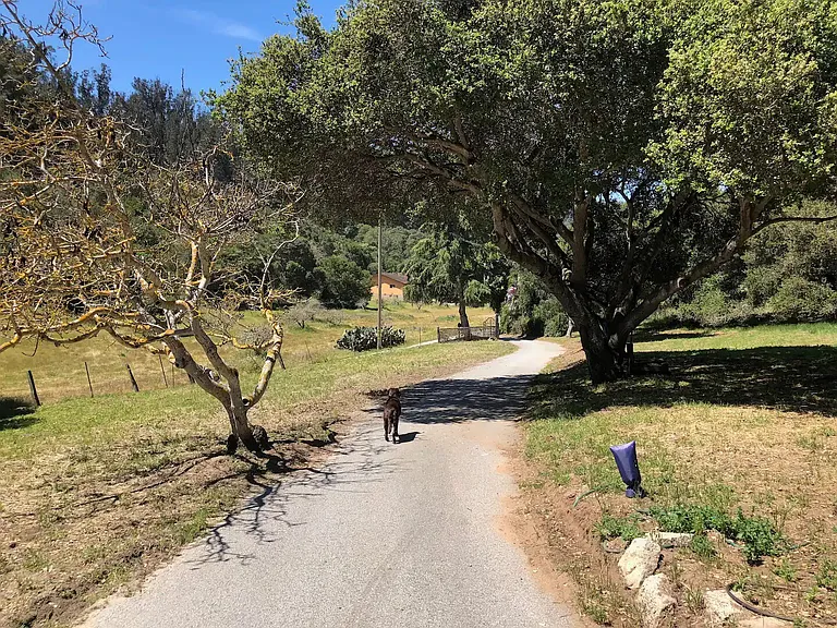 Hambey Ln — Photo 36