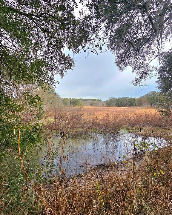 1st image of 359 SAVANNAH OAKS DRIVE LOT 11