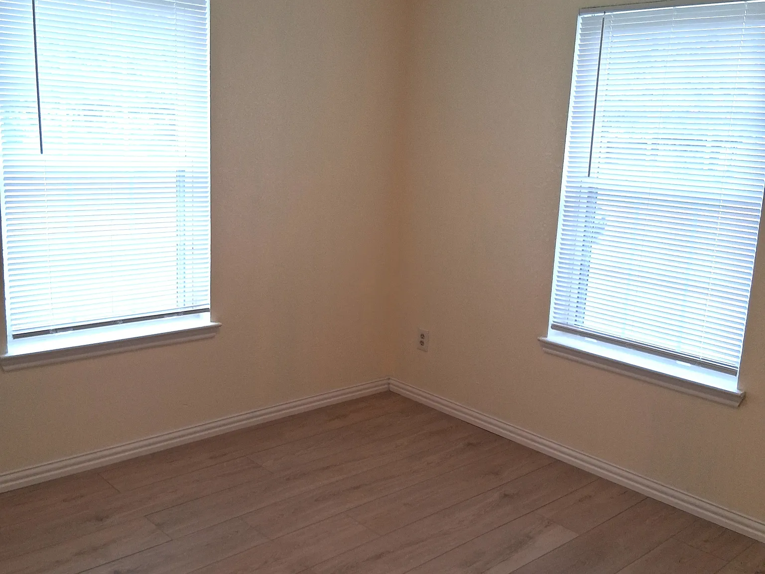 Carolyn 4102 - 1 — Photo 4