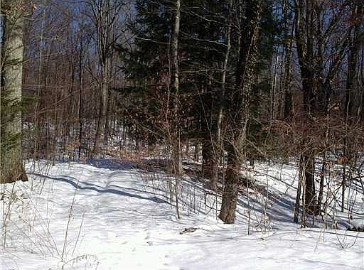 2nd image of 171 Nebo Rd