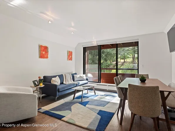 1326 Vine St #1326, Aspen, CO 81611