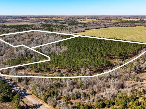 0 Bruner Pond Rd, Ashford, AL 36312