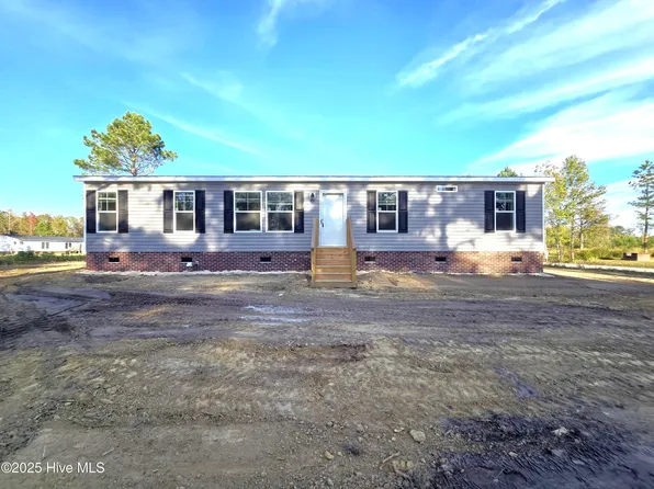 405 S Alligator Lane, Willard, NC 28478