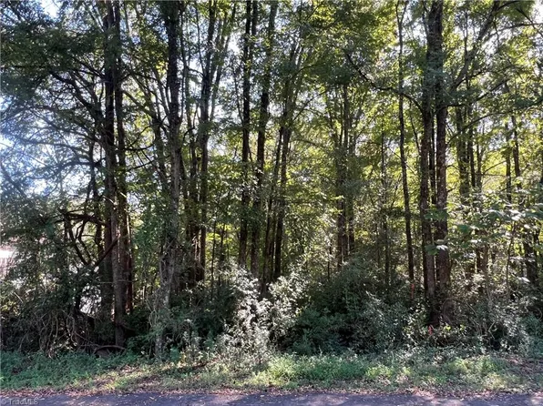 Taft St Lot 2, Mayodan, NC 27027