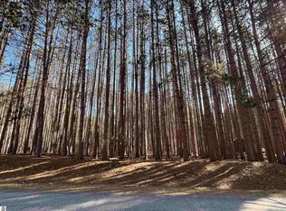 Vl 67 Tanne Valden Strasse, Bellaire, MI 49615