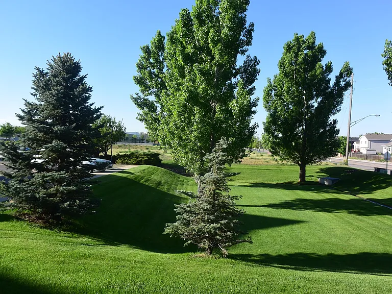 Lawn around Michael Place Apartments