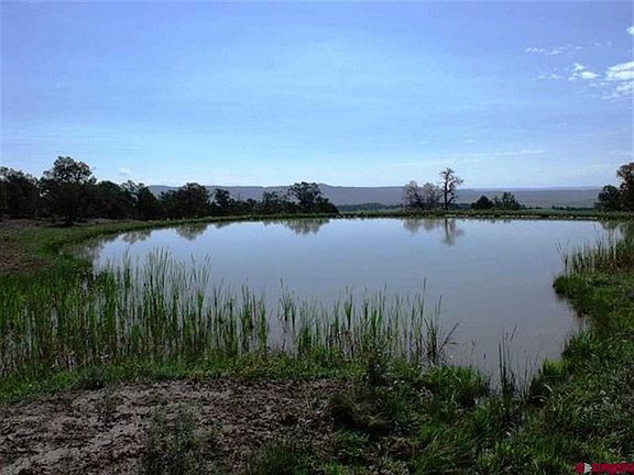 3rd image of 360 Big Elk Dr