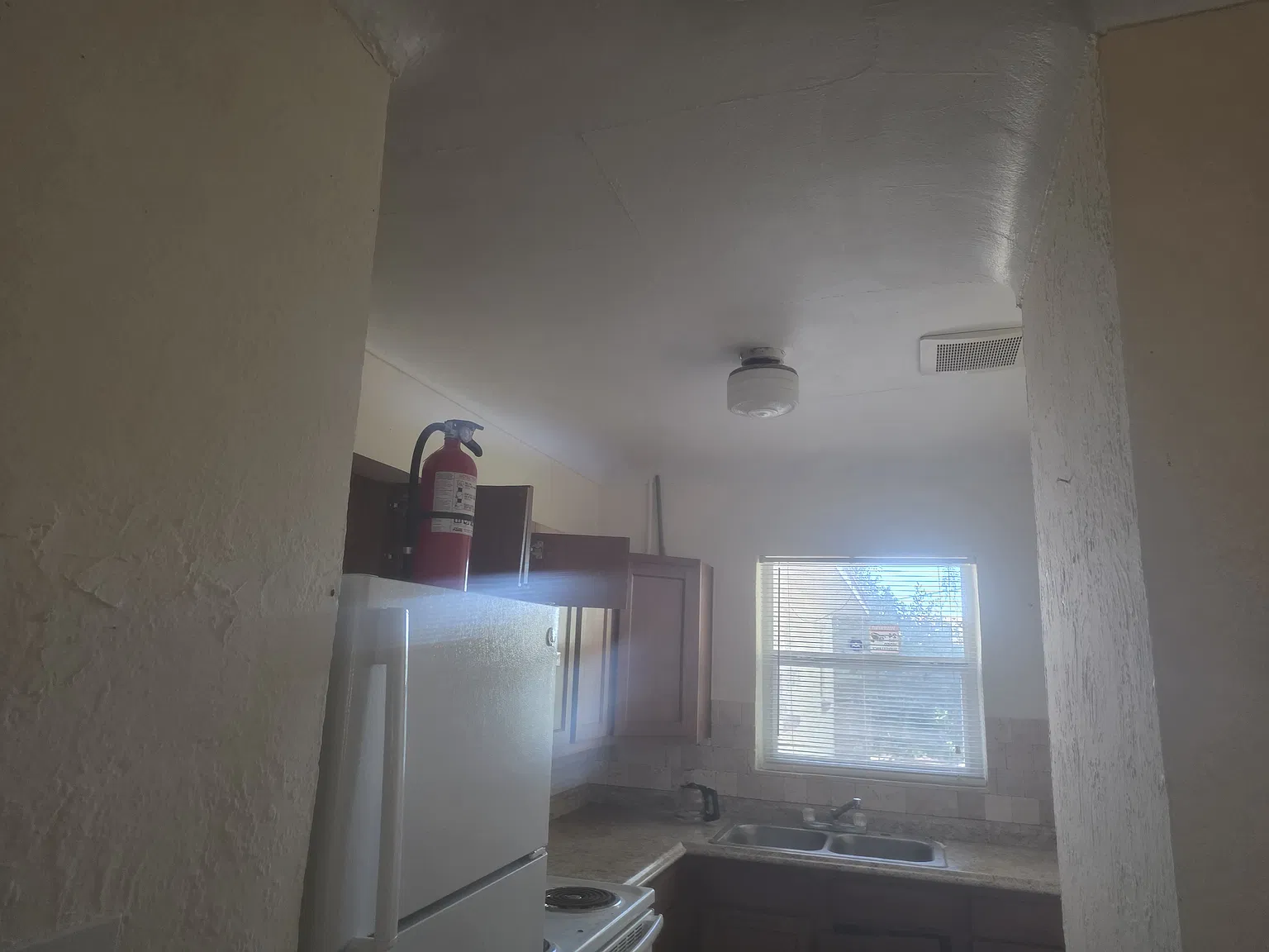 1 bed, 517 sqft, $1,300 — Photo 4