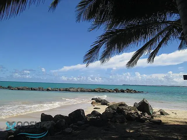 3001 Plaza Del Mar Cond Isla Verde Ave #1006 — Photo 51
