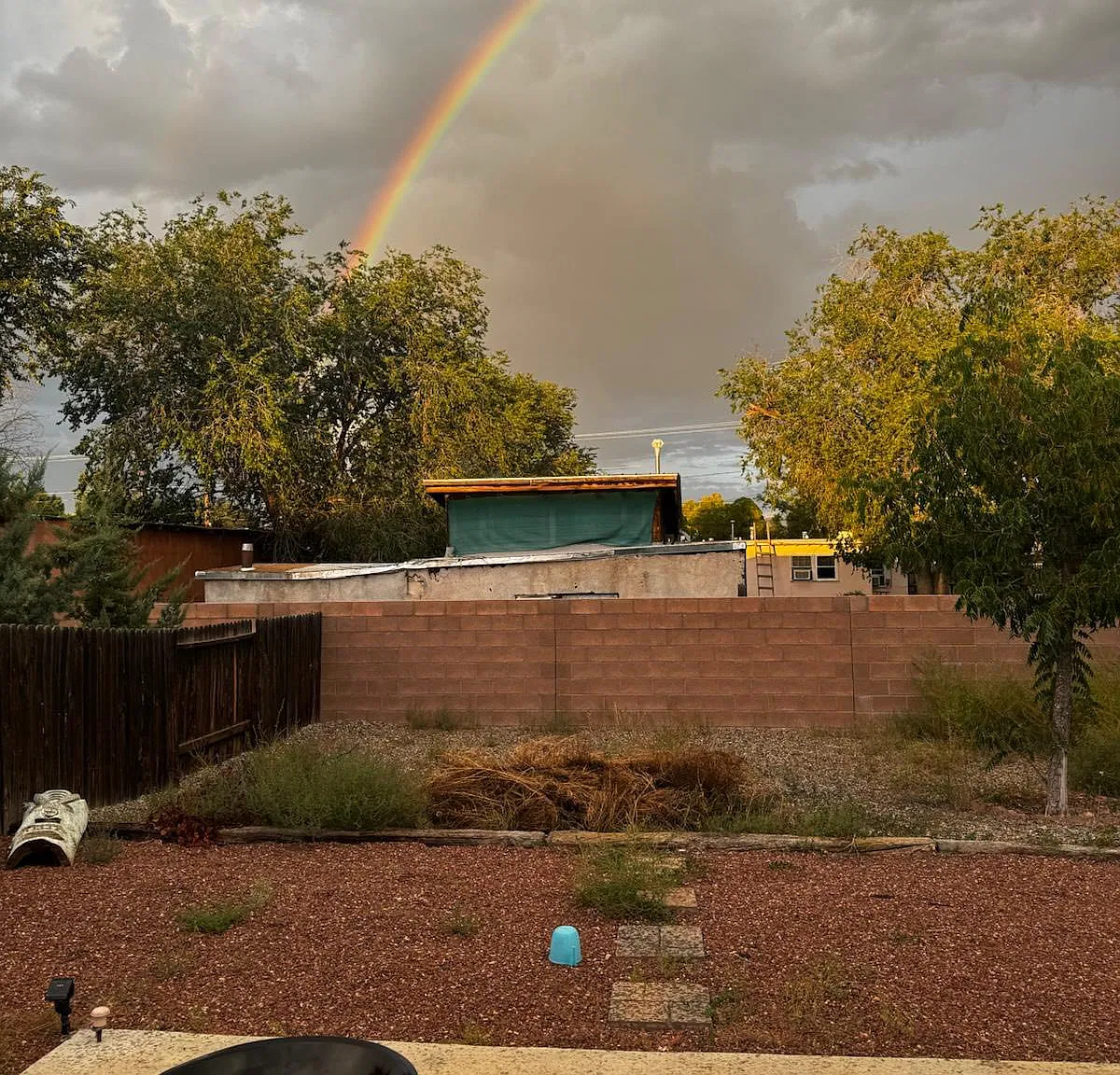 Primo Colores, Santa Fe — Photo 2