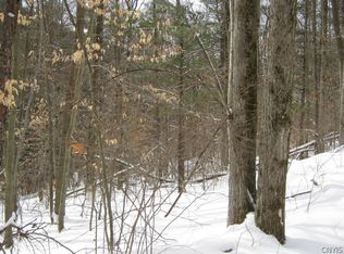 0 Deputron Hollow Rd, Brooktondale, NY 14817