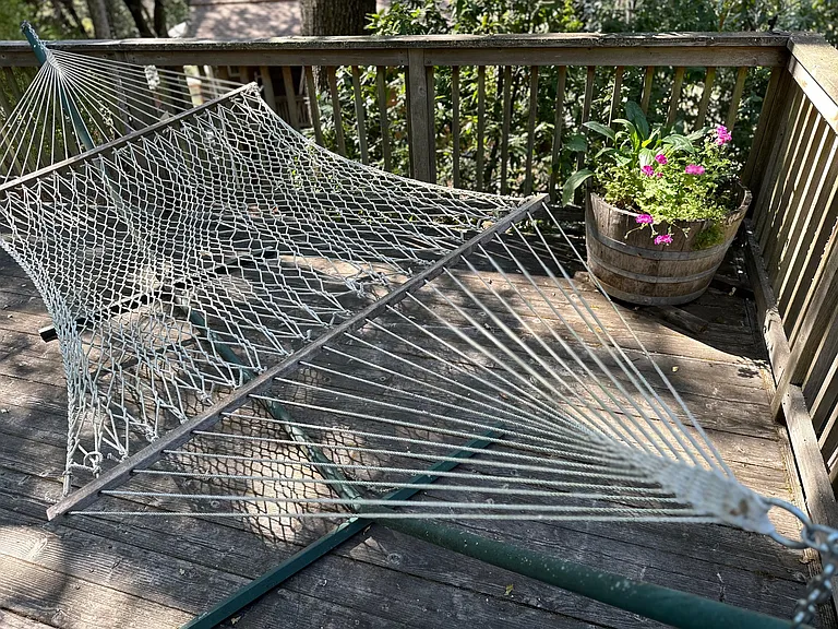 Hammock will stay