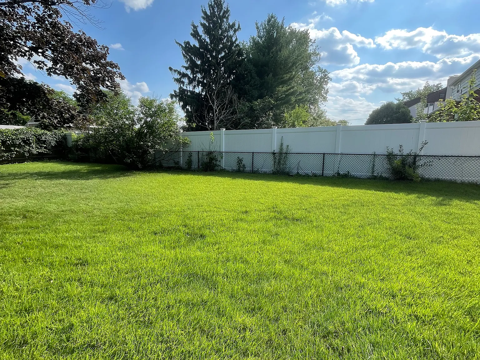 3 bed, 1.5 bath, 1442 sqft, $2,500 — Photo 4