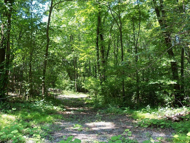 2nd image of 4 Sycamore Way