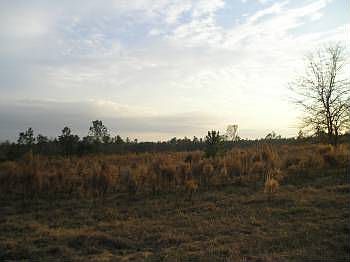 1st image of 8005 Dreamland Dr