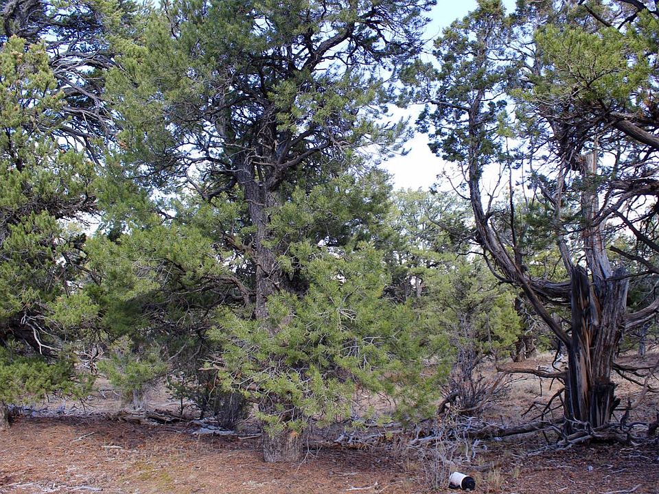 1st image of Orange Mtn #1-33