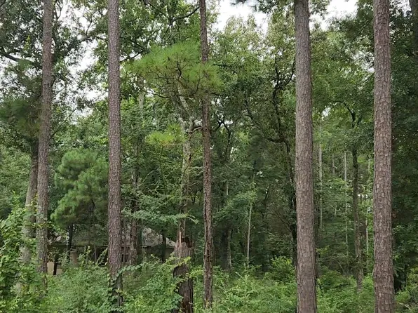 38 White Oak Dr, Plantersville, TX 77363