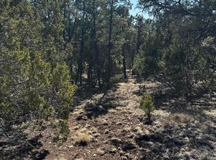 Xx Wagon Trl, Datil, NM 87821