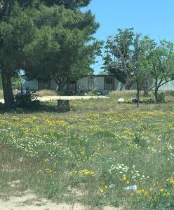 1700 N Fm 700, Big Spring, TX, 79720