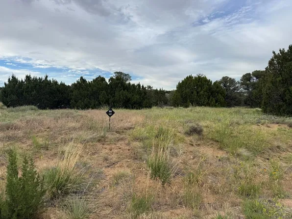 L2 B Black Diamond Dr #8, Walsenburg, CO 81089