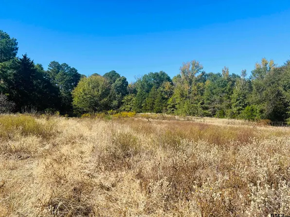 836 County Road 4510, Winnsboro, TX 75494