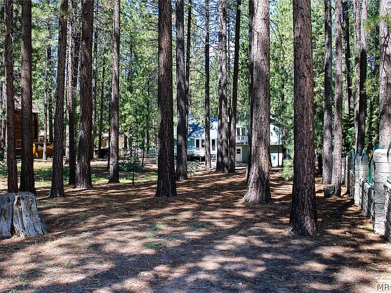 42109 Evergreen Dr — Photo 45