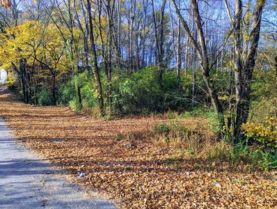 0 Rogers Rd, Centerville, TN, 37033