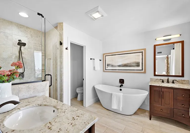 Spa-inspired primary bath with soaking tub and walk-in shower.
